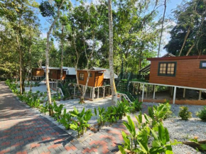 SkyTree Glamping